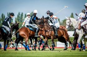 Polo is the hardest of Equestrian Sports