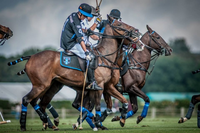 Polo Ponies Rate Well on Welfare List