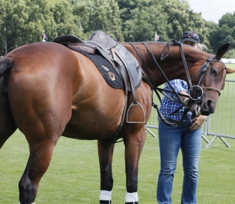 Mexico Polo Club