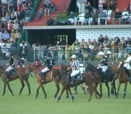 America's Largest Polo Club President John Packman